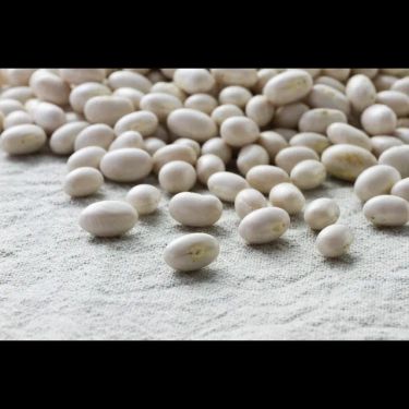 北海道産　大手亡豆　250g