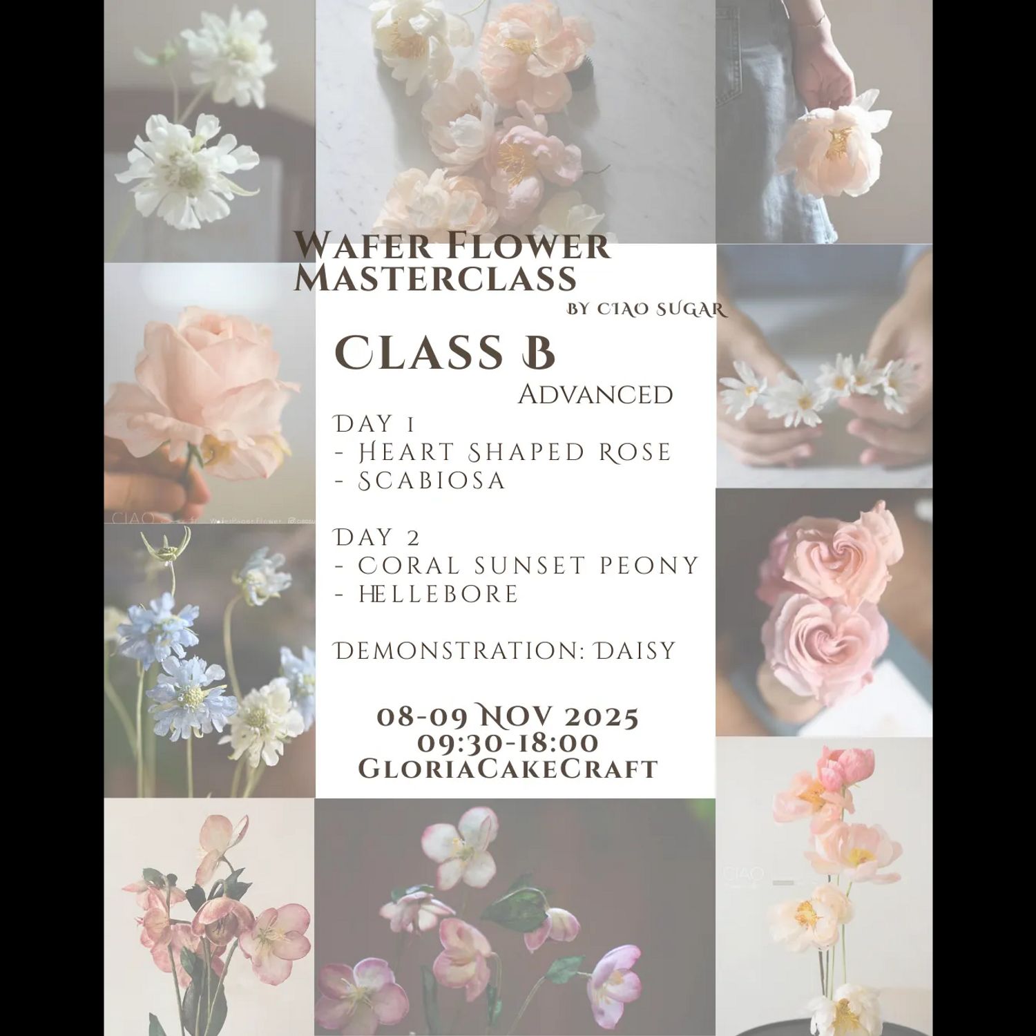 Wafer Flower Masterclass - Class A Beginner
