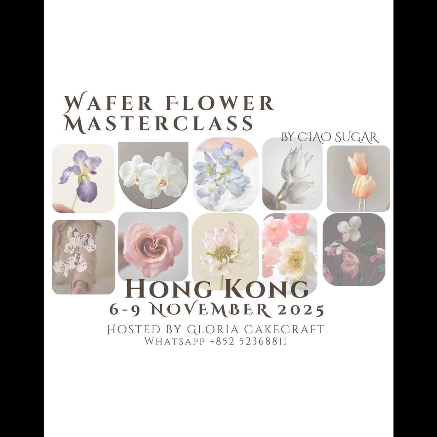 Wafer Flower Masterclass - Class A Beginner