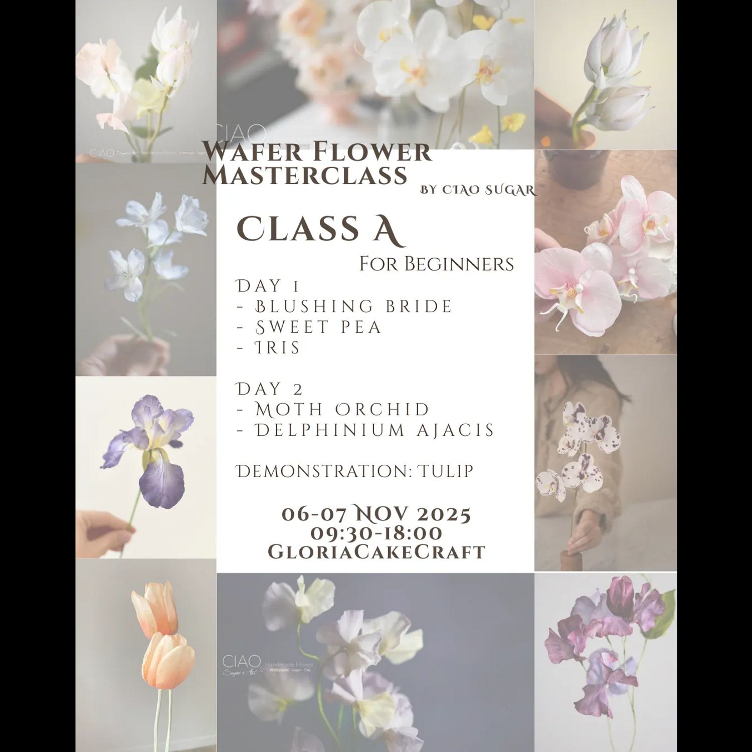 Wafer Flower Masterclass - Class A Beginner