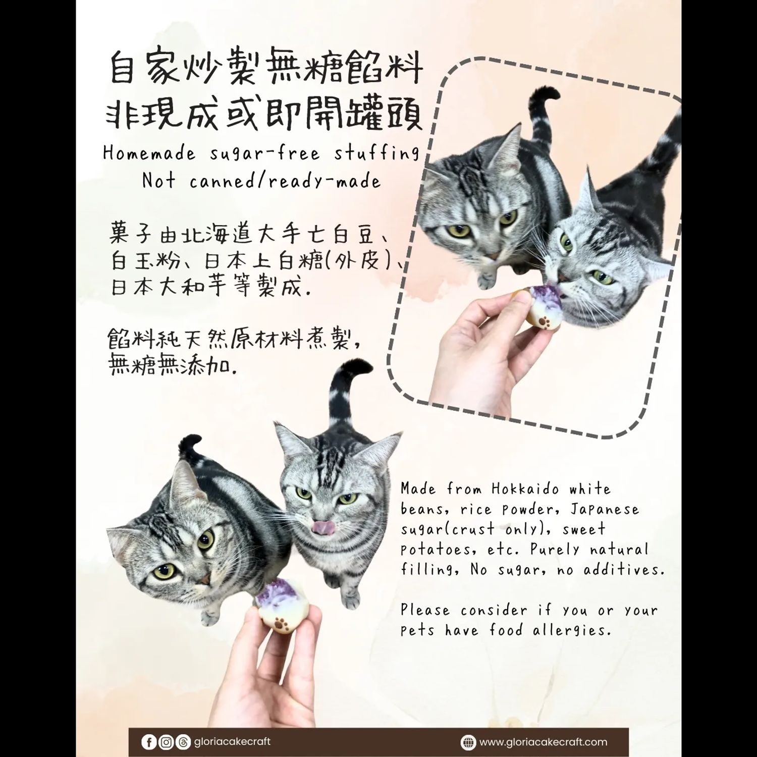 🐱寵物和菓子慈善義教- 喵喵體驗班🐱
