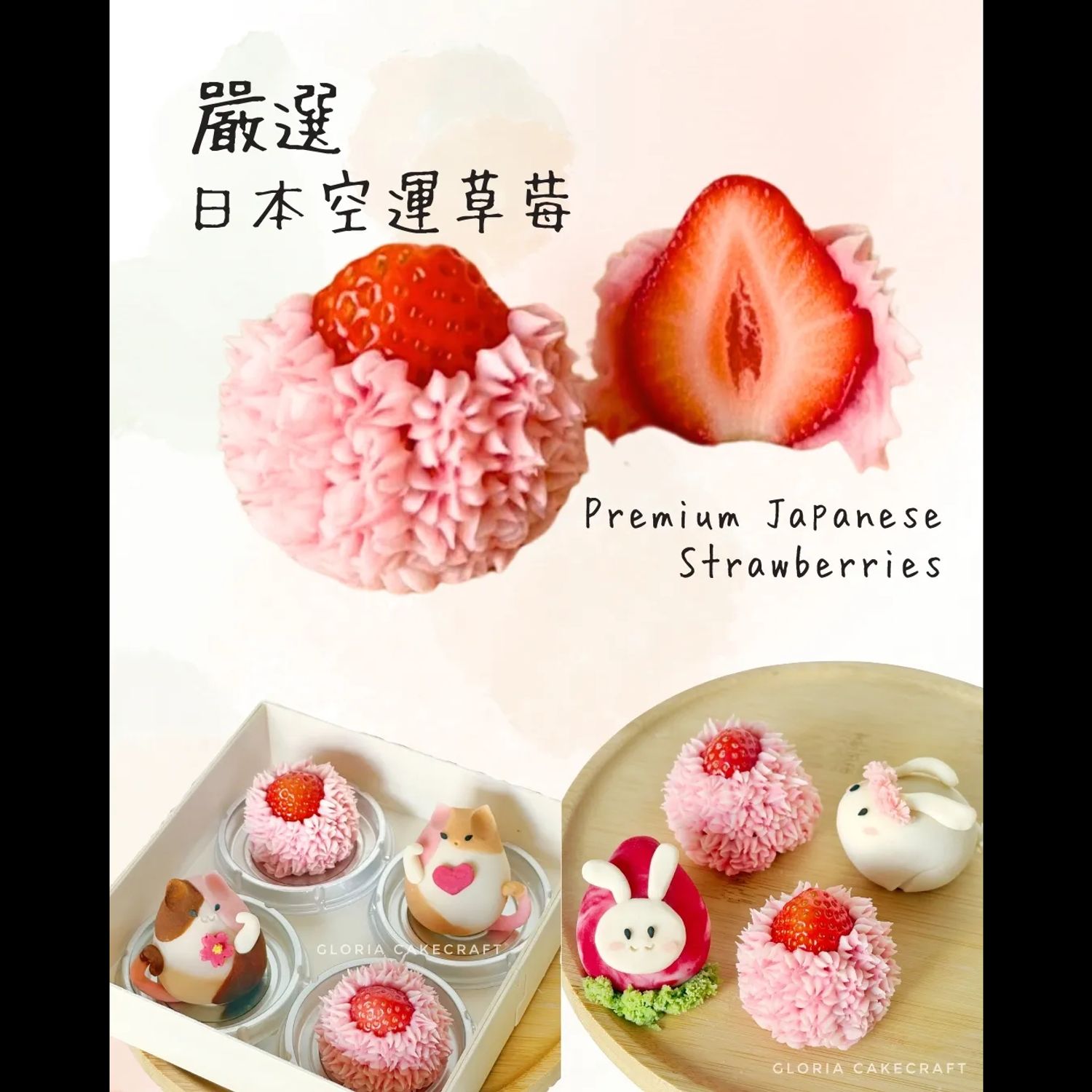 🐱寵物和菓子慈善義教- 喵喵體驗班🐱