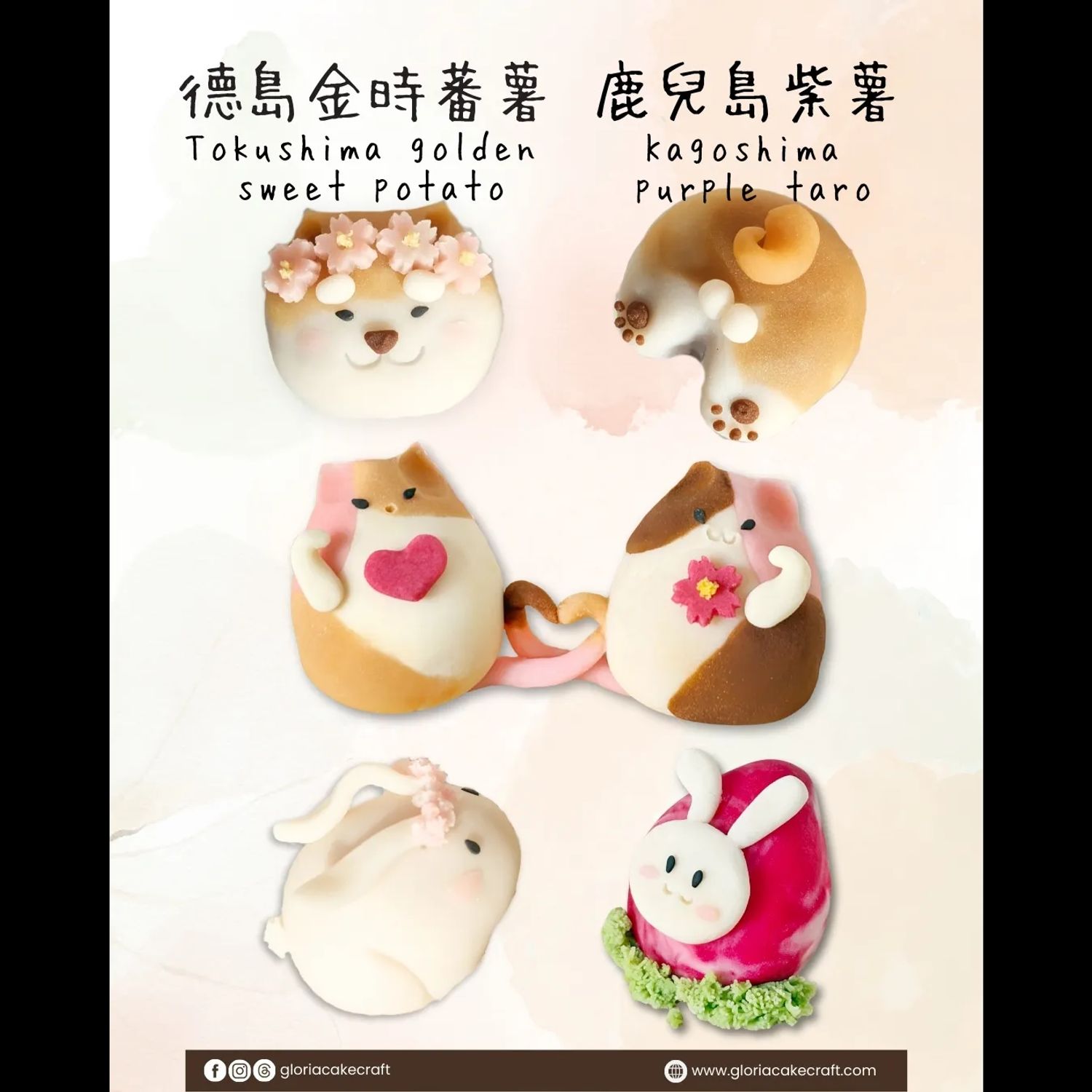 🐶寵物和菓子慈善義教- 狗狗體驗班🐶
