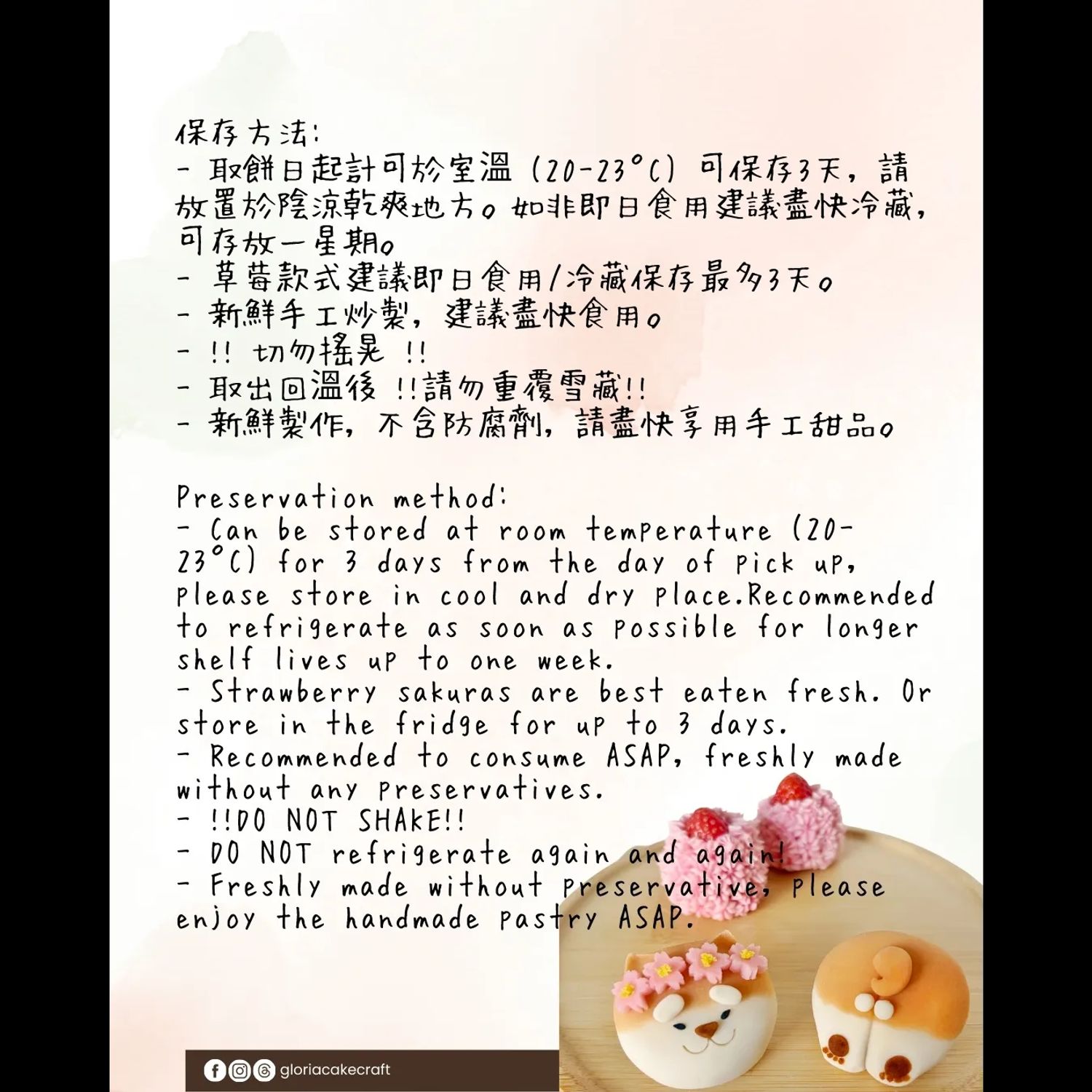 🐰寵物和菓子慈善義教- 兔兔體驗班🐰