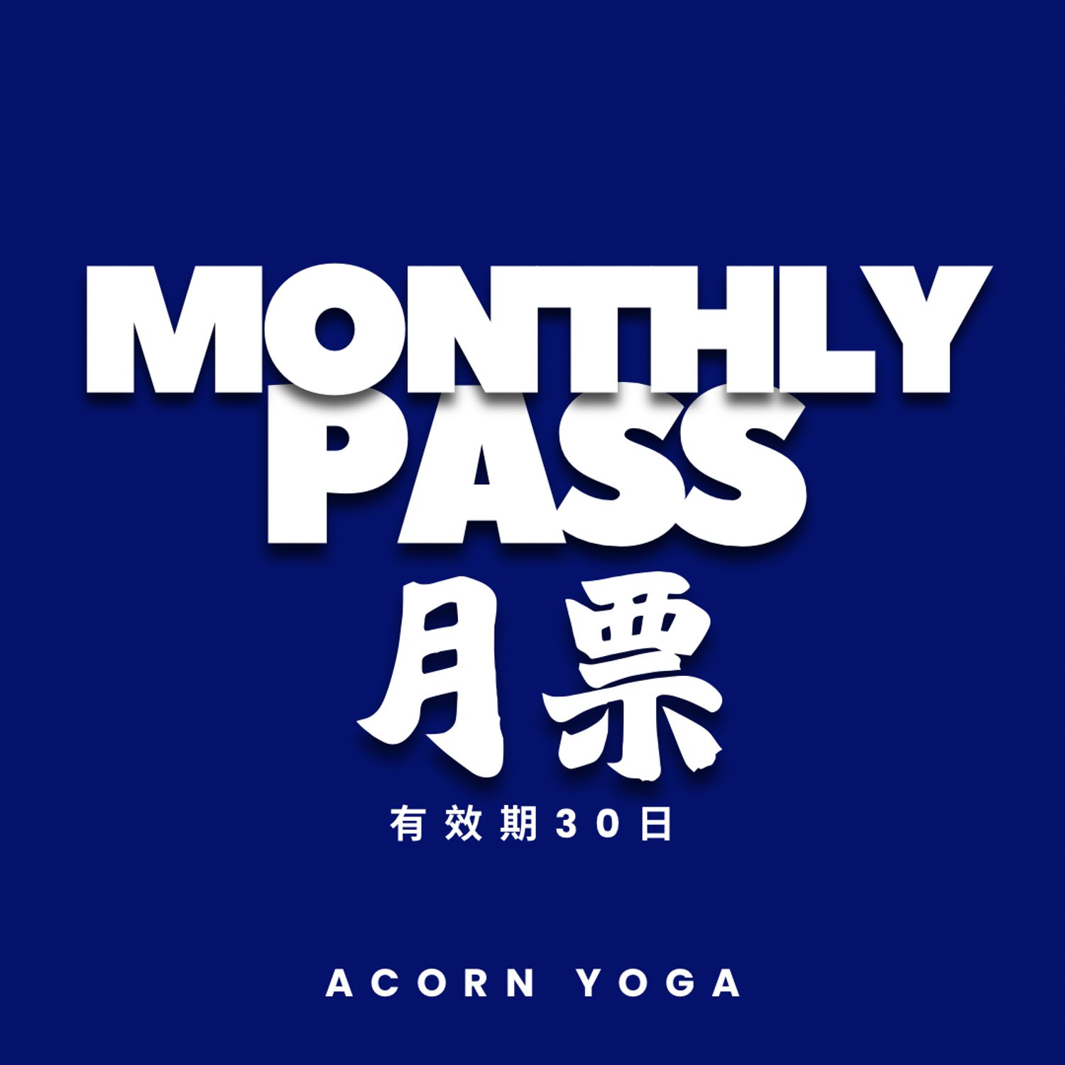 Monthly Pass 月票