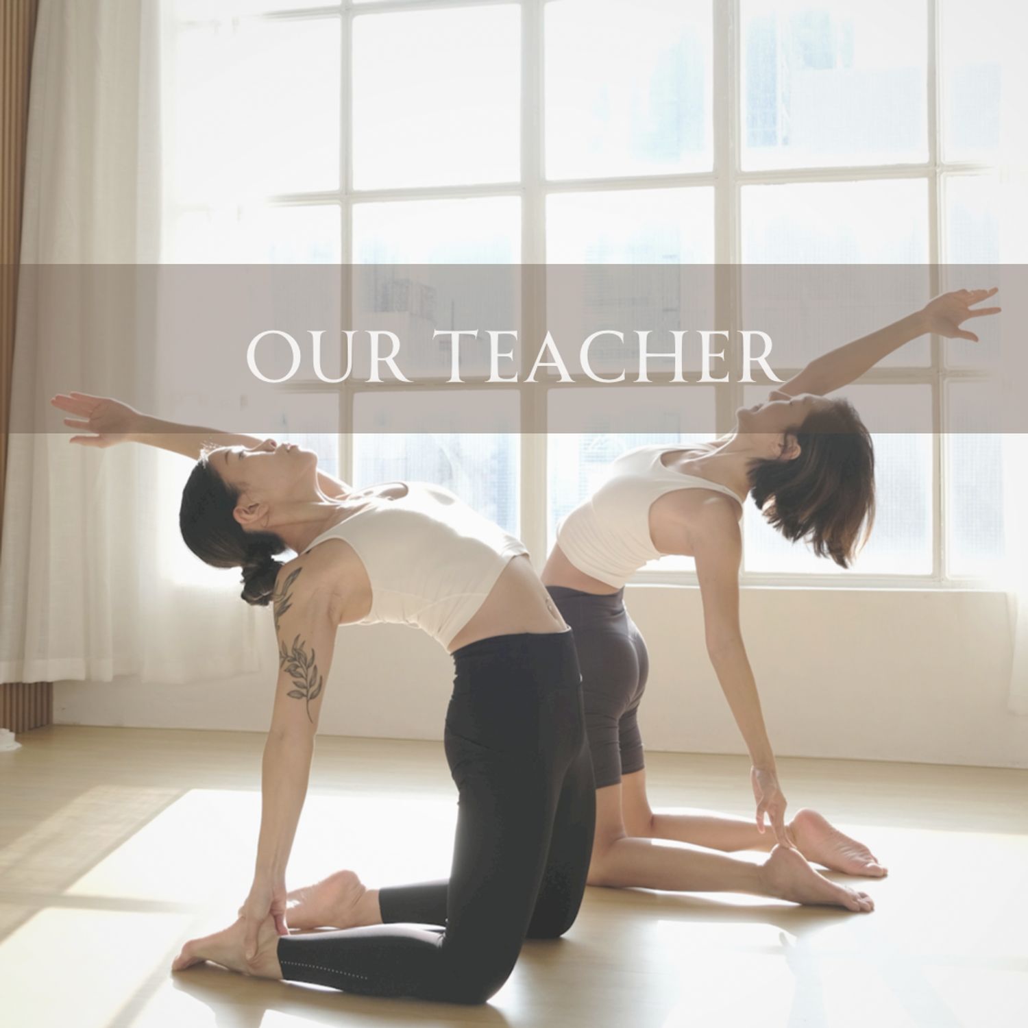 導師介紹 Our Teachers