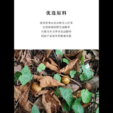 野生酸棗糕 — 武夷深山野生採摘・秋冬限定・古法紅糖蒸製・消食殺蟲安神養肝