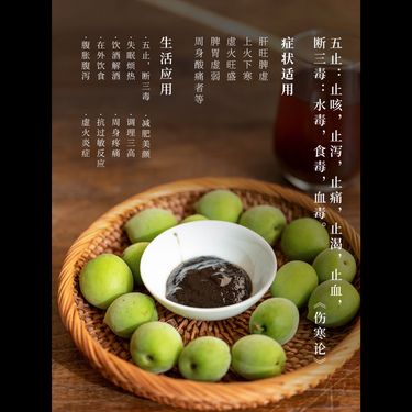 古法梅膏 — 廣東詔安青梅之鄉・17年陳年老梅膏精配・酸收引火歸元・消食安神千年古方