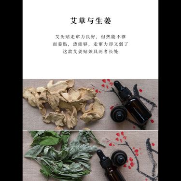 艾姜貼 — 伏牛山野生艾葉油・古法窖藏老薑油・隔薑灸透皮溫通・草本無煙隨身貼