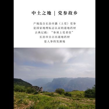米炒黨參 — 山西長治三年地標潞黨參・黃小米柴火明火炒製・健脾益氣生津