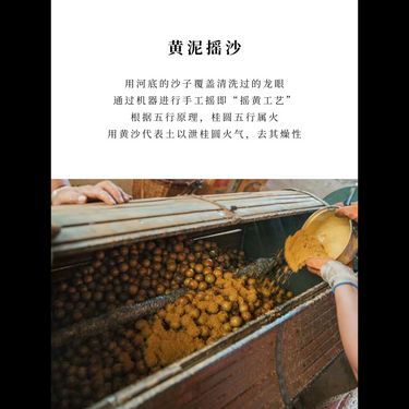 古法桂圓元肉 — 莆田原生古種・黃泥搖黃・龍眼木炭焙印藥・心脾腎同補