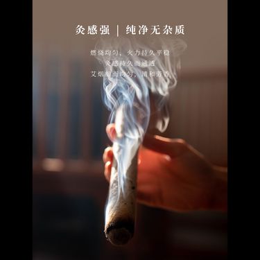 秦嶺野生艾條 — 終南秦嶺三年乾倉散陳・純陽烈火透骨搜邪・石臼十比一打絨・古法手工純素懸灸條