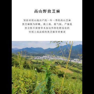 九蒸九曬芝麻丸 — 安徽有機黑芝麻・傳統柴火反覆蒸曬・手工石臼錘打出油・純白蜜凝香補腎烏髮