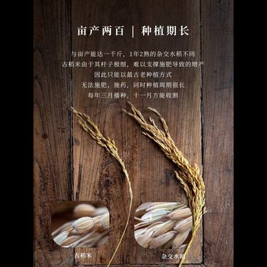 千年古稻米 - 稀世珍糧・自然之選