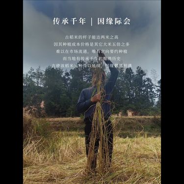 千年古稻米 - 稀世珍糧・自然之選