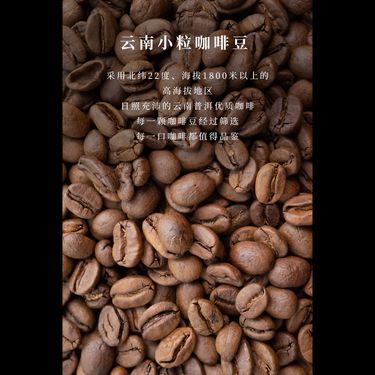 小黑豆咖啡 — 雲南普洱高山小粒咖啡・東海鹽鹼地野生小黑豆・陰陽和合・提神興陽不傷正氣