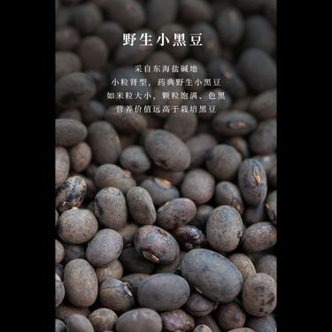 小黑豆咖啡 — 雲南普洱高山小粒咖啡・東海鹽鹼地野生小黑豆・陰陽和合・提神興陽不傷正氣