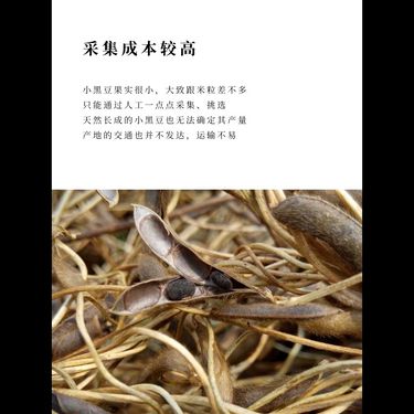 野生小黑豆 - 東海臻品・溫潤養護