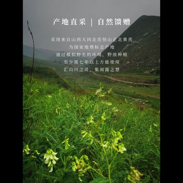 米炒黃芪 — 正北芪・野放六年・山西小米古法炒制