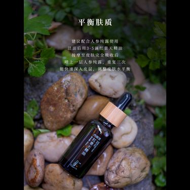 紅景天精油 — 川西高原野生紅景天・新疆野生紫草・野放山茶油冷浸・益氣活血修護