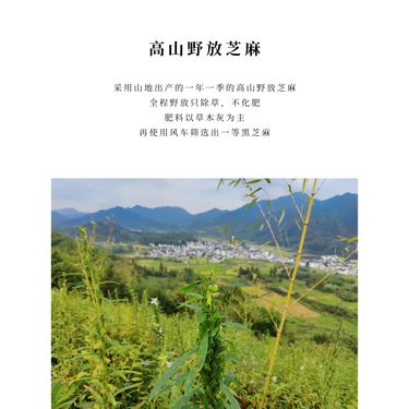 九制芝麻茯神丸 — 蘇軾東坡古方・九蒸九曬高山野放黑芝麻・黃山野生茯神・潤腸通便寧心祛濕