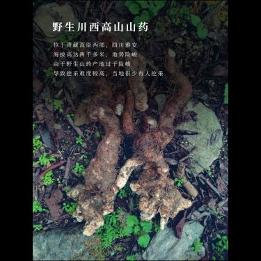 野生山藥片 - 雅安瑰寶・一年一採