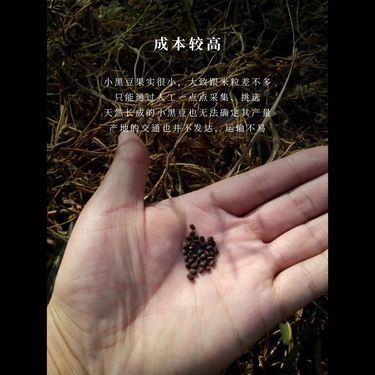 小黑豆茶 — 補腎養肝・烏髮潤膚・利濕消腫・豆中之王