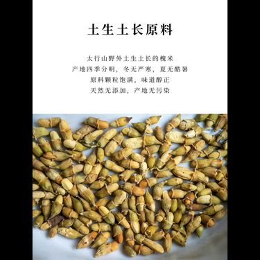 炙槐米茶 — 太行珍萃・古法炙炒矯偏・清肝利膽明目