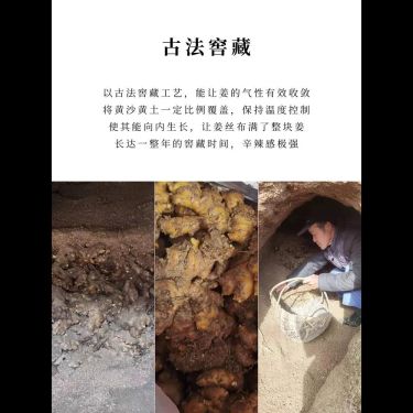 窖藏蒸晒老薑片 — 山間原生老薑・黃土黃沙窖藏一年・三蒸三曬・溫中散寒祛風濕