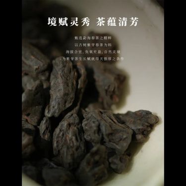 紫芽碎銀 — 古樹紫芽・八道古法工藝・五行屬火・水火既濟茶療