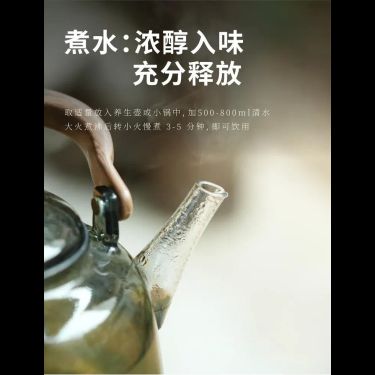 參芪四寶茶 — 溯源三山・三參一芪・兩陰兩陽固表平補元氣