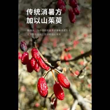 烏梅山茱萸茶 — 秦嶺野生山茱萸・炭火柴燒烏梅・酸甘化陰・養肝斂精生津