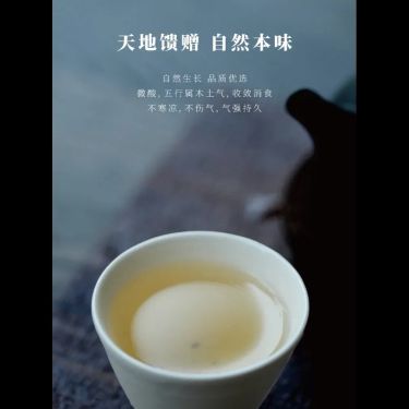 古腌茶 — 雲南古樹・兩千年少數民族古法腌製・溫氣養身