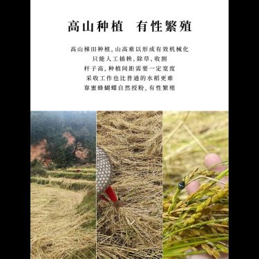 古稻米酒 — 閩粵高山千年古稻・八年陶缸原漿老酒・補津養血・米之精華