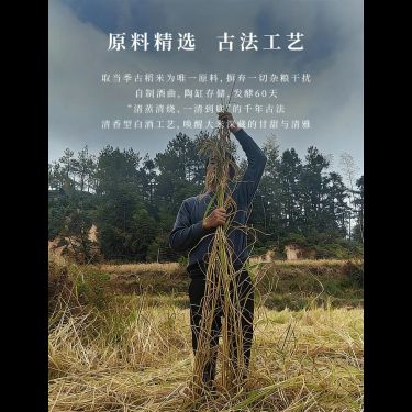 古稻米酒 — 閩粵高山千年古稻・八年陶缸原漿老酒・補津養血・米之精華