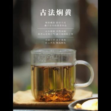古法燜黃 — 洞庭湖君山島非遺傳承・2013年十三年老黃茶・古法初包複包・健脾祛濕瀉心火