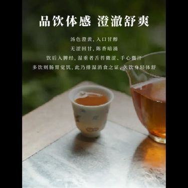 古法燜黃 — 洞庭湖君山島非遺傳承・2013年十三年老黃茶・古法初包複包・健脾祛濕瀉心火