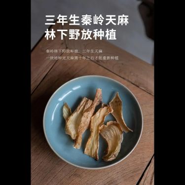 天麻玉竹飲 — 秦嶺三年九制天麻・川西九蒸九曬野生玉竹・渾圓正北黃耆・平肝熄風潤肺養陰