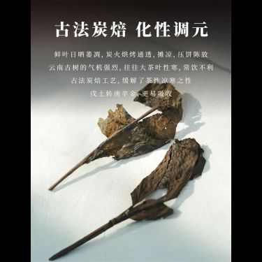 古樹烤茶 — 雲南班章霜降古樹・十年乾倉陳化・炭火慢焙矯偏・清肺潤燥健脾通調