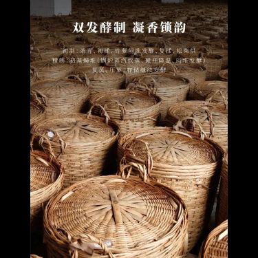 金花六堡茶 — 廣西梧州十年在地陳化・金花冠突散囊菌・松柴高溫初蒸復蒸・健脾祛濕引火歸元