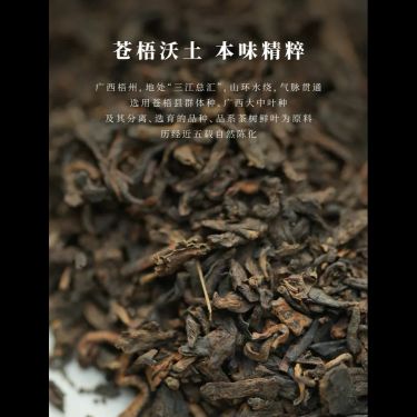 金花六堡茶 — 廣西梧州十年在地陳化・金花冠突散囊菌・松柴高溫初蒸復蒸・健脾祛濕引火歸元
