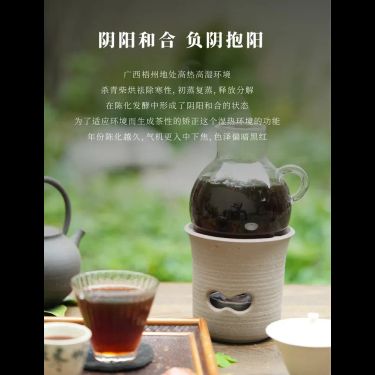 金花六堡茶 — 廣西梧州十年在地陳化・金花冠突散囊菌・松柴高溫初蒸復蒸・健脾祛濕引火歸元