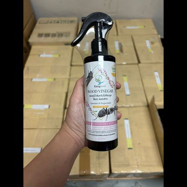 泰國🇹🇭天然木醋驅蟲虱噴霧240ml