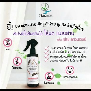 泰國🇹🇭天然木醋驅蟲虱噴霧240ml