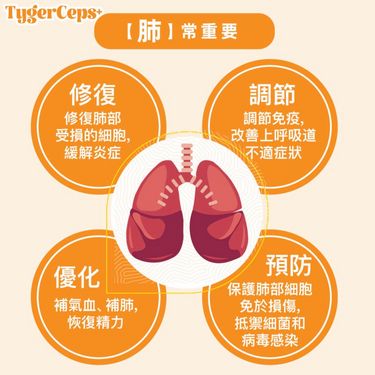 TygerCeps+ 虎乳芝益肺寶(一盒20條)
