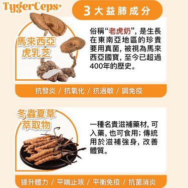 TygerCeps+ 虎乳芝益肺寶(一盒20條)