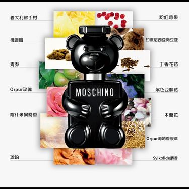 Moschino Toy Boy 熊男友 淡香水5ML(免稅貨)