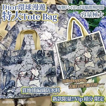 Dior環球漫遊Tote Bag（單袋）