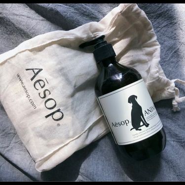Aesop🌸寵物清潔露500ml