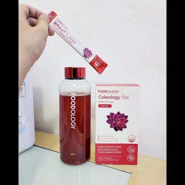 FOODOLOGY - Coleology Tea  五彩蘇植物纖體茶 8g x 15條